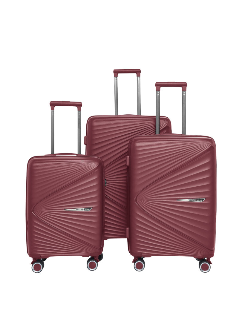 Stylish Luggage Set